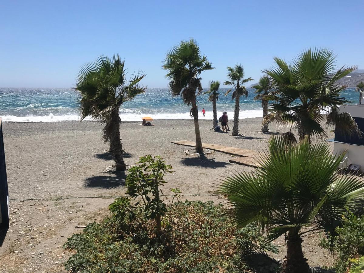 Casa Amigos Sorvilan- La Palmera Luaran gambar