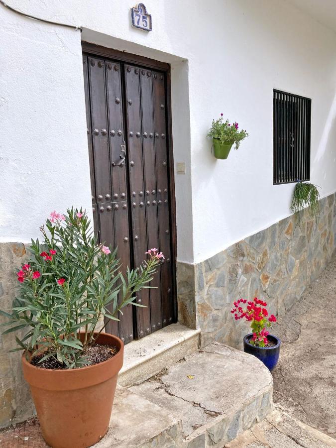 Casa Amigos Sorvilan- La Palmera Luaran gambar