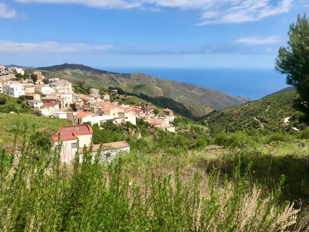 Casa Amigos Sorvilan- La Palmera Luaran gambar